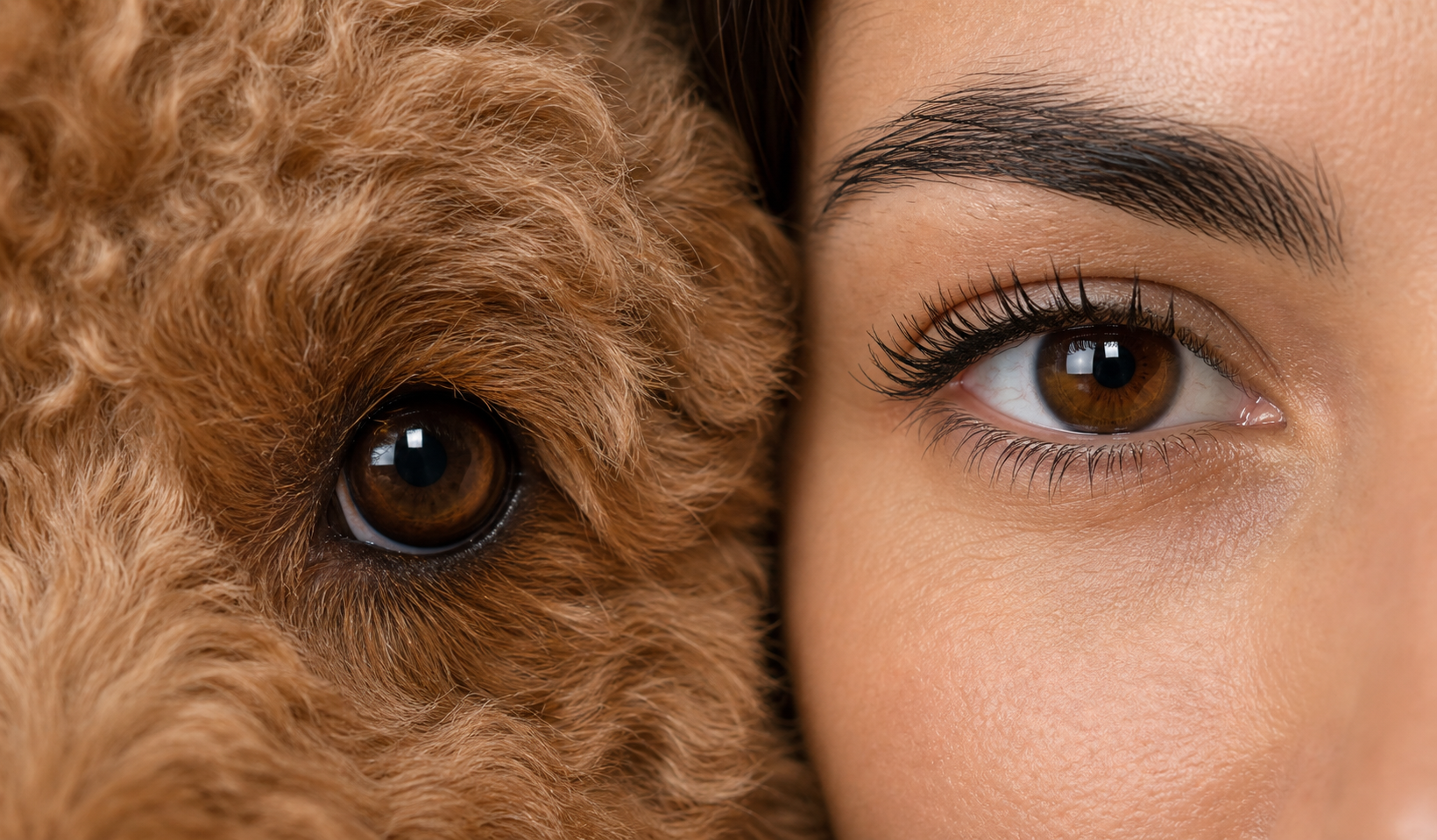 A close-up of a dog eye beside a pet owner's eye